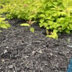 Bladmulch